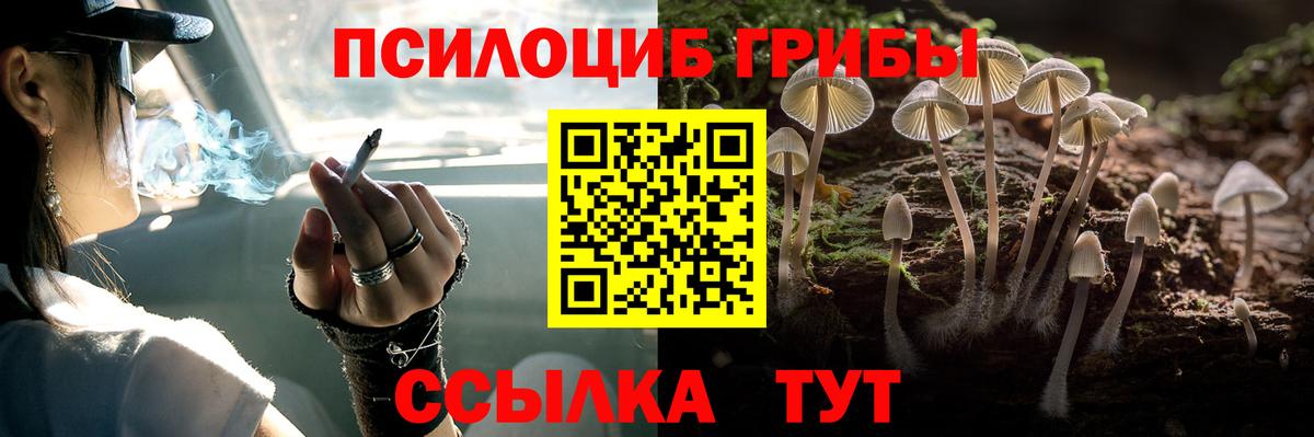 Белорецк  Галлюциногенные грибы мицелий  Вход с VPN 